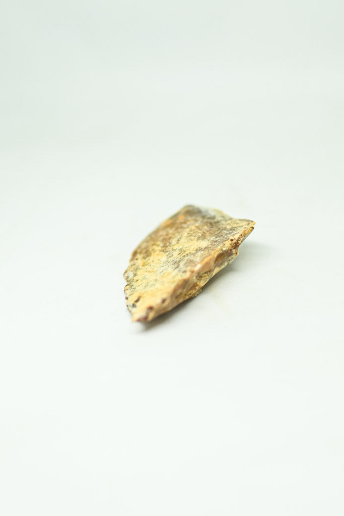 Głowa z terakoty z cywilizacji Taíno