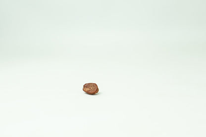 Skarabeusz z dekoracją Skorpiona