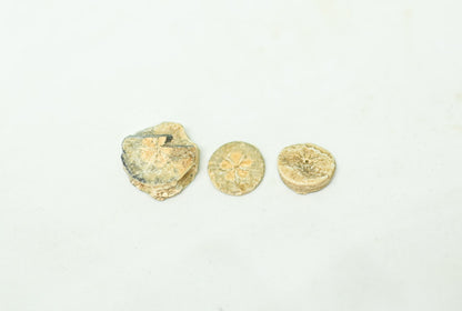 Ptolemejskie dyski wapienne – Wkłady rozetowe (3 sztuki)